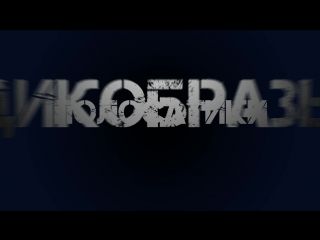 БПМ 2015 Broadway mod 2.0